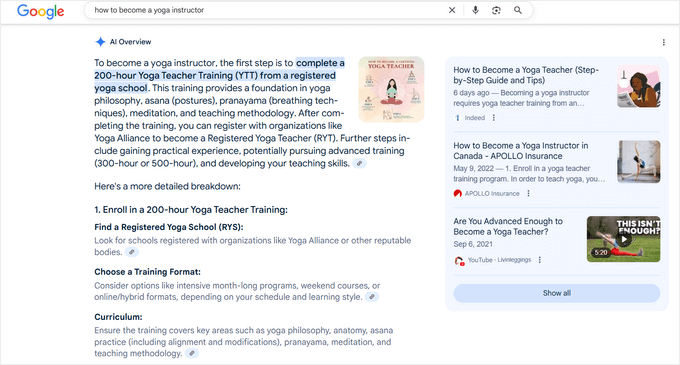 Google AI overview example