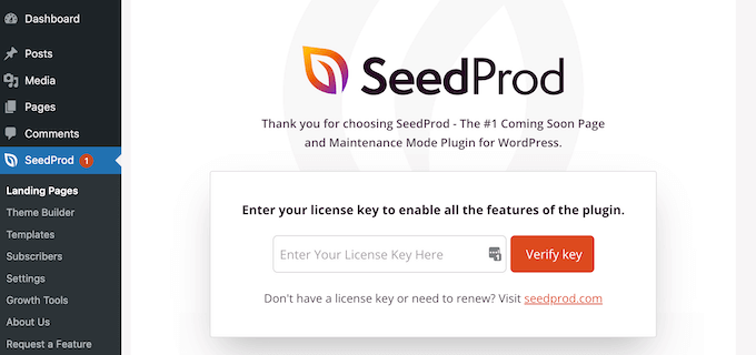 How to set up the premium SeedProd plugin 