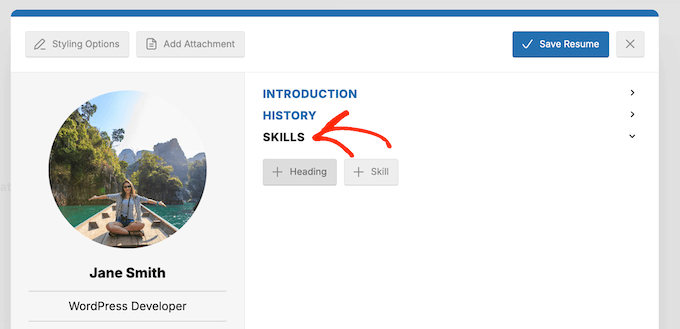 Adding skills to a professional profile on your WordPress website or blog