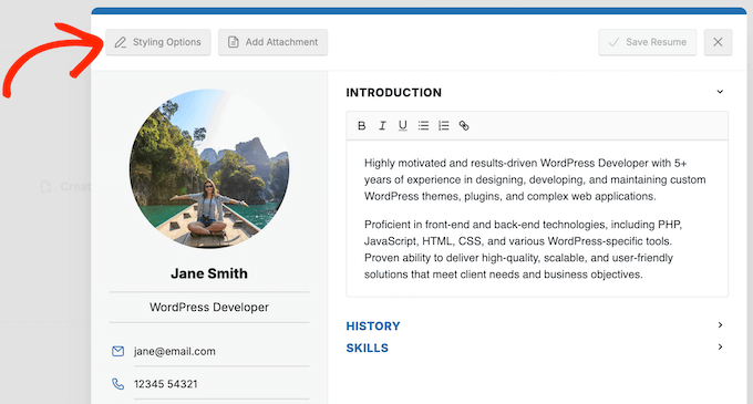 How to style a digital CV on your WordPress website or blog