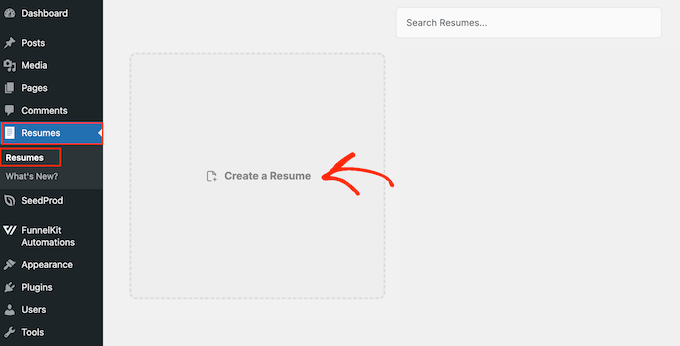 Creating a resume in the WordPress dashboard