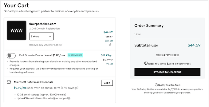 Buying web domain names for your WordPress website