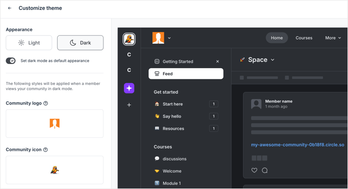 Customizing a Circle.so Theme