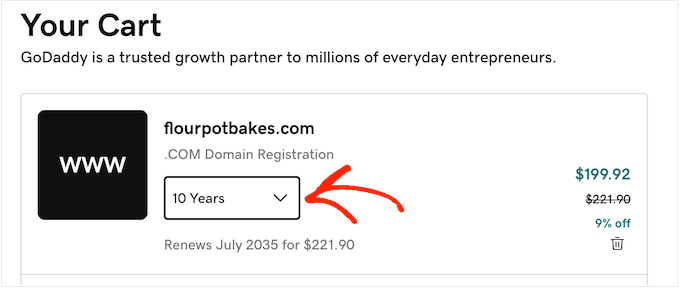 Purchasing a web domain for 10 years