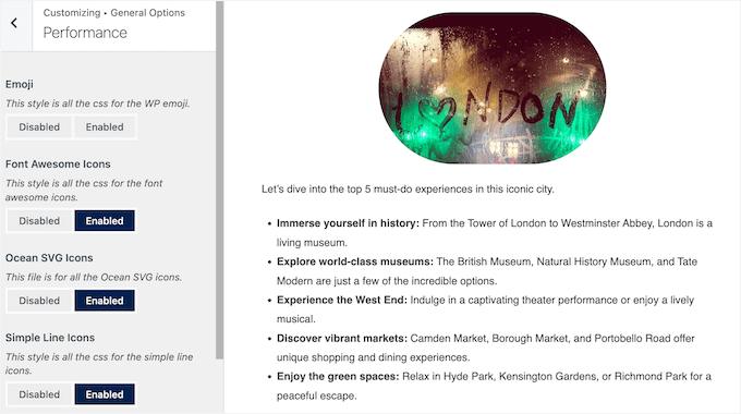 OceanWP's performance tab in customizer
