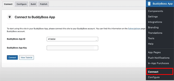 Connect your WordPress site to BuddyBoss app