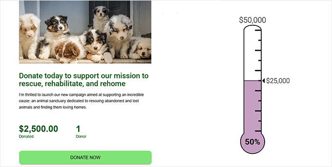 Preview of a simple fundraising thermometer
