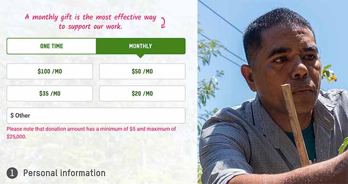 Preview of recurring donation on a nonprofit site Preview of recurring donation on a nonprofit site