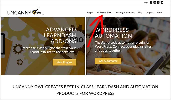 Uncanny Owl All Access Pass