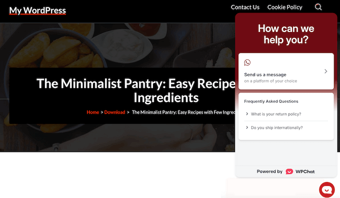 An example of a live chat window, created using the WPChat WhatsApp plugin 