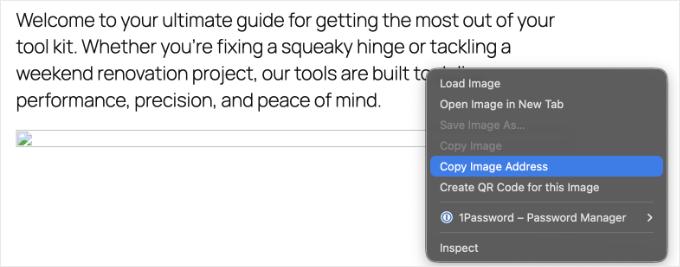 Kopieren der Adresse eines defekten Bildes
