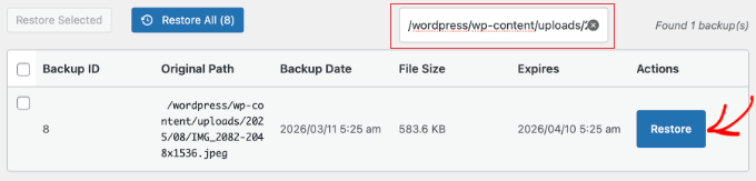WP Media Cleanup Suchen und Wiederherstellen