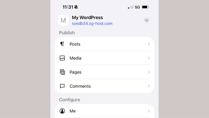 Tabloul de bord al aplicației WordPress care afișează Postări, Media, Pagini și Comentarii