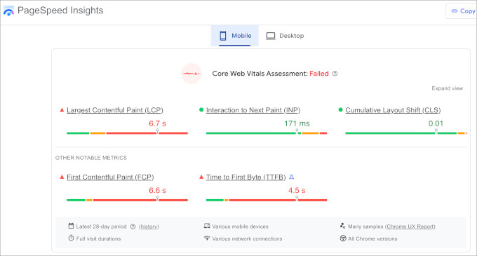 Core Web Vitals results PageSpeed Insights